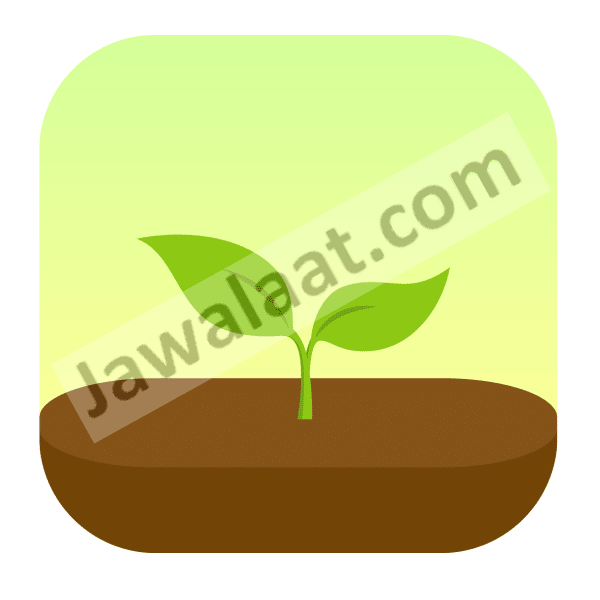 تنظيم الوقت